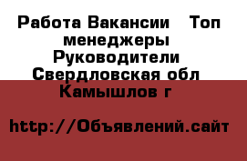 Работа Вакансии - Топ-менеджеры, Руководители. Свердловская обл.,Камышлов г.